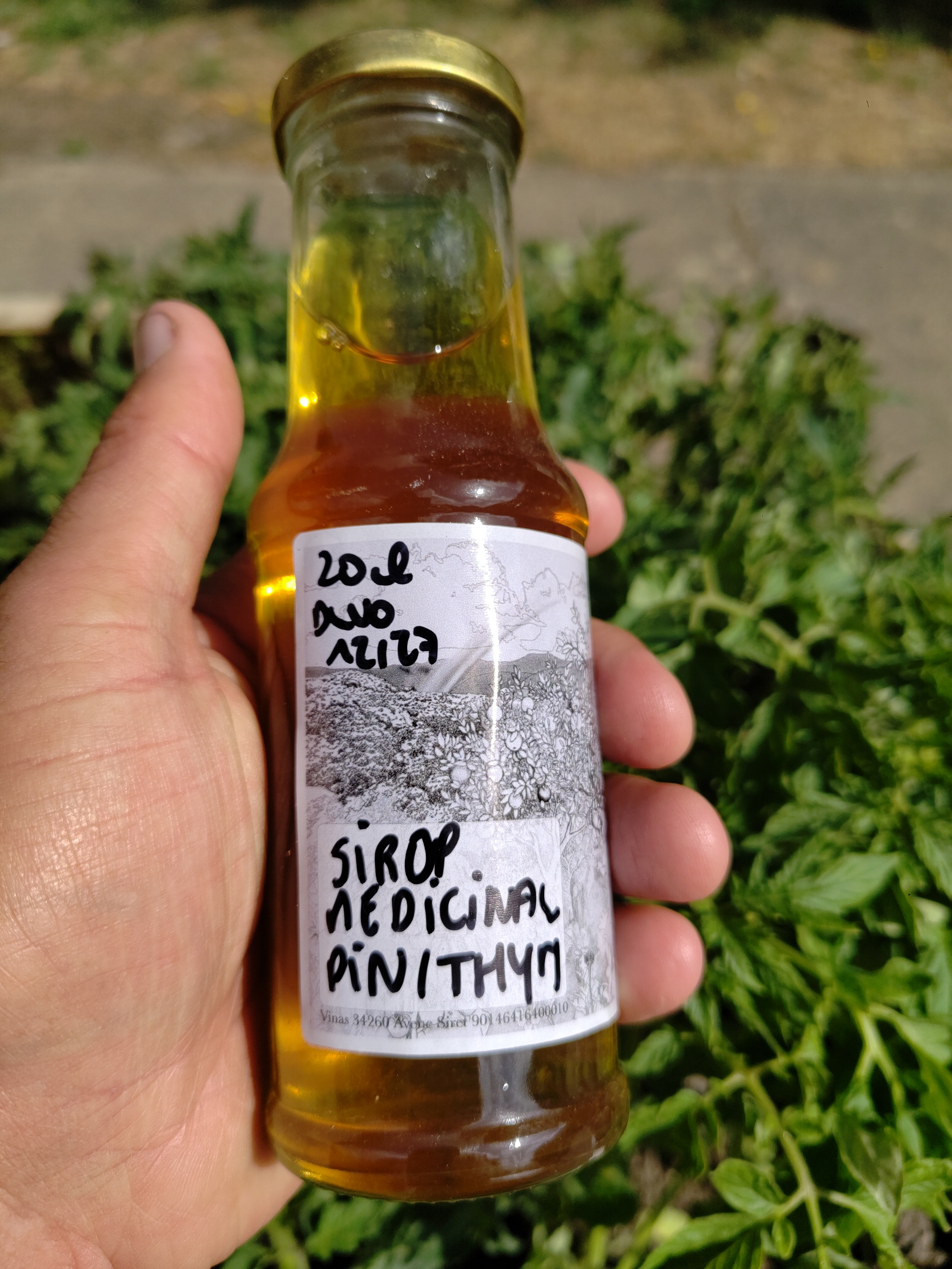 Sirop médicinale Bourgeons de pin et thym