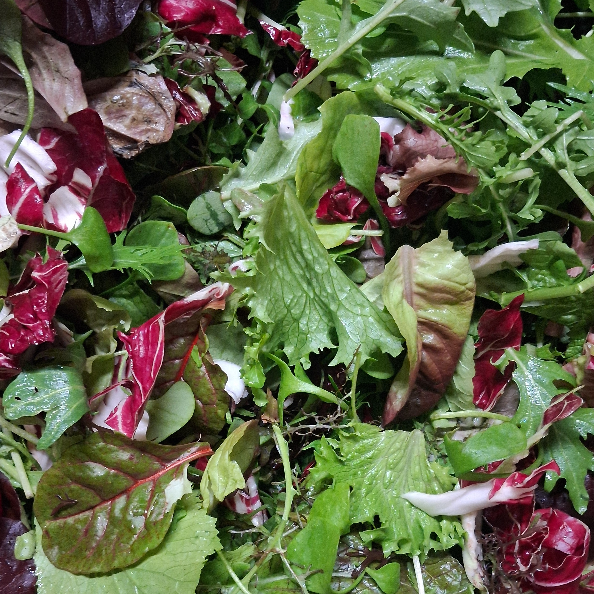 Mesclun - 150g