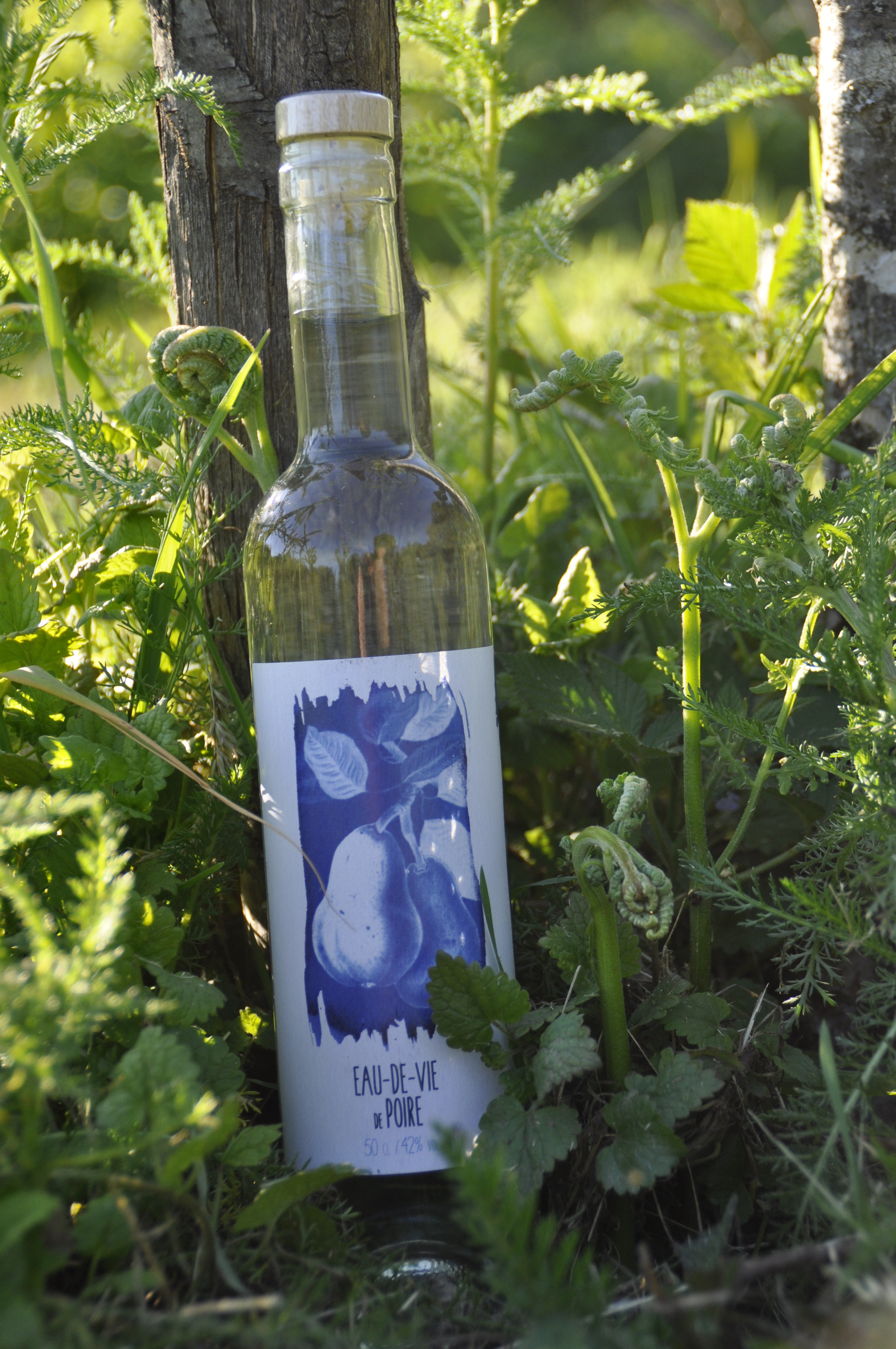 Eau-de-vie de poire 42&nbsp;% - 0,5cl