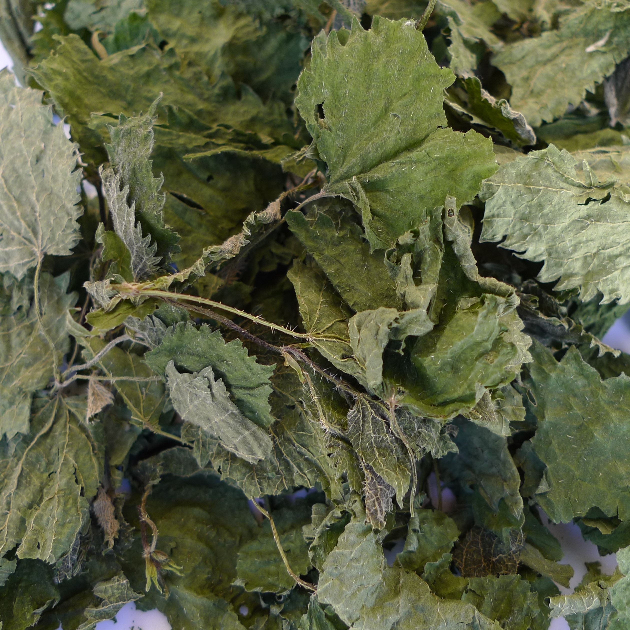 Ortie - 15g