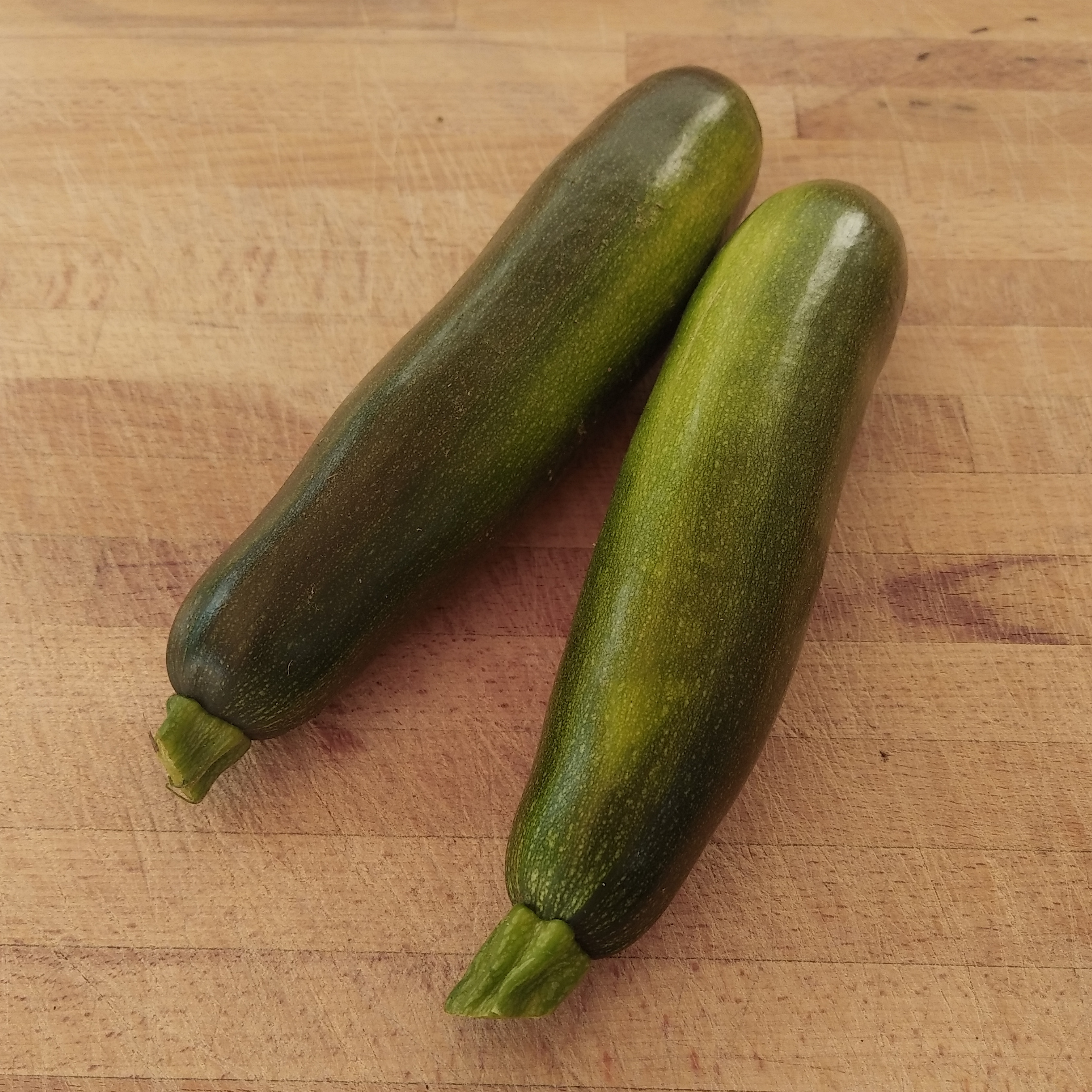 Courgette verte