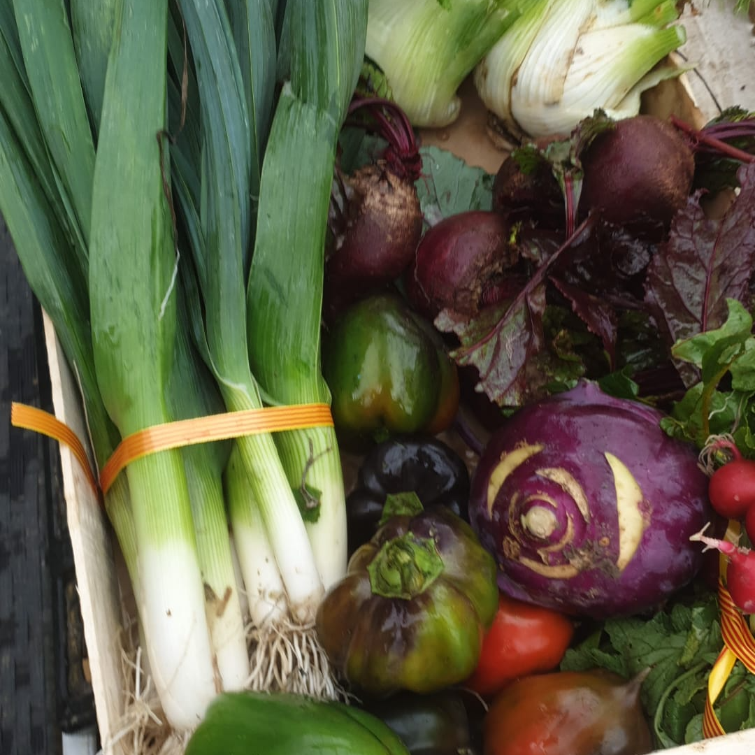 Panier Primeur - 4kg