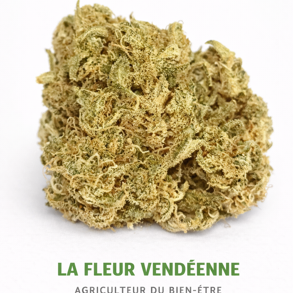 CBD INDOOR RC BIGBUD