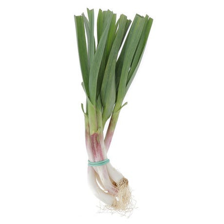 Aillet BIO (botte) - 300g