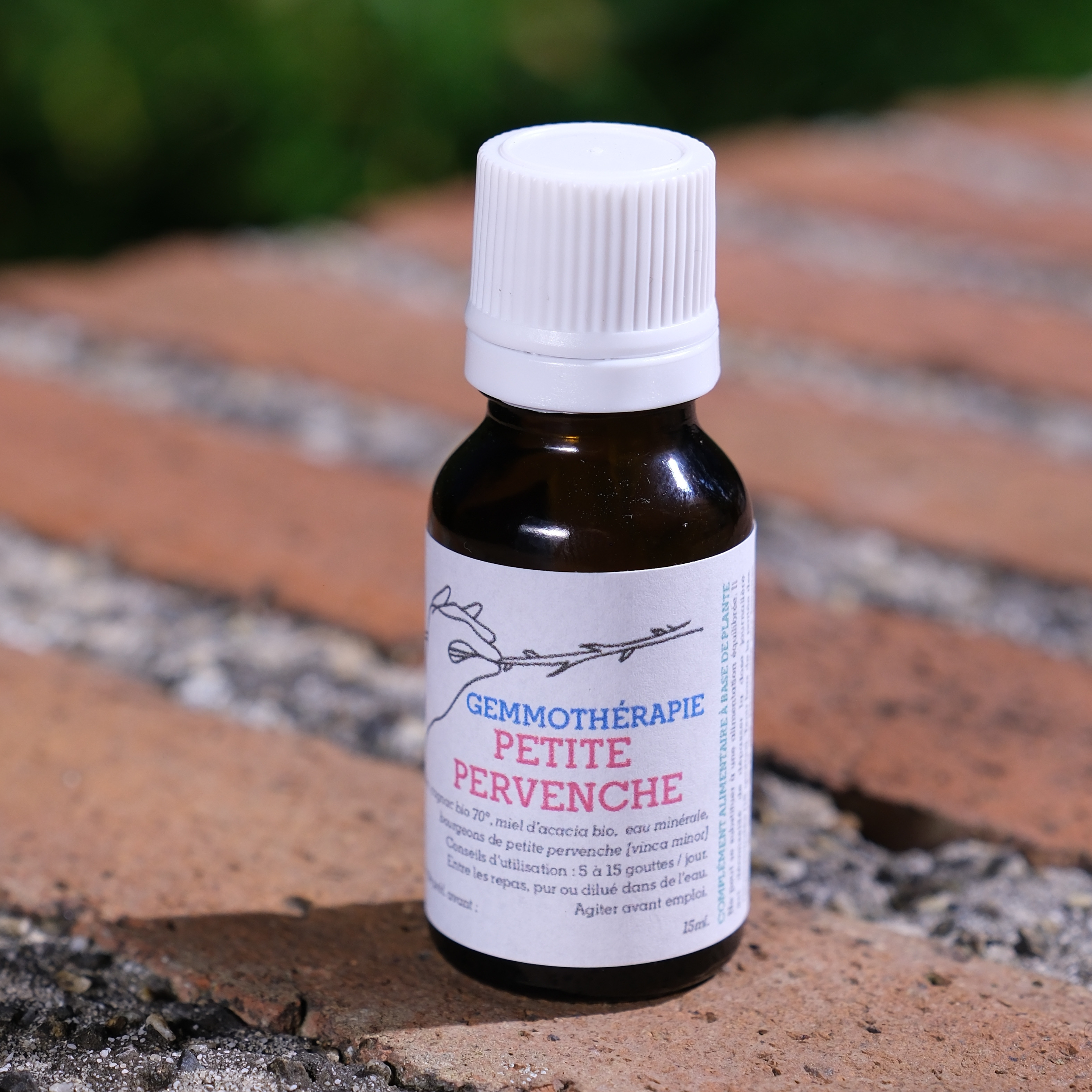 Petite pervenche • Mémoire & Vue - 15ml