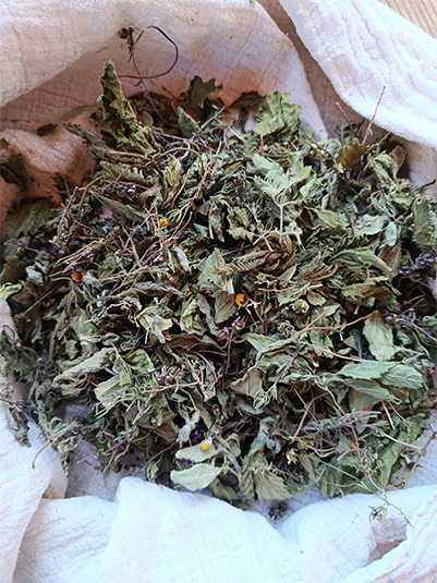 Tisane Endométriose - 30g