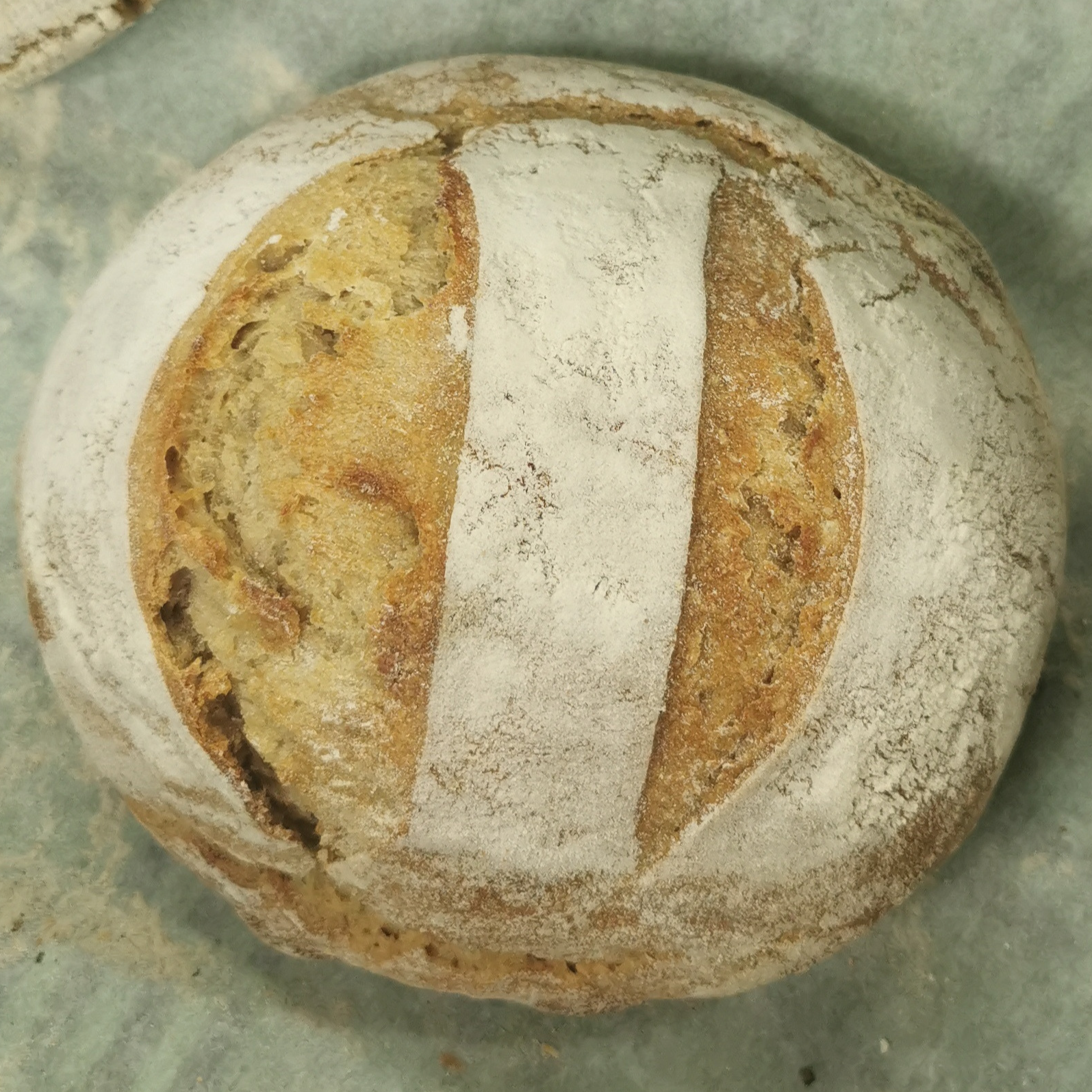 Blés anciens - 500gr - 500g