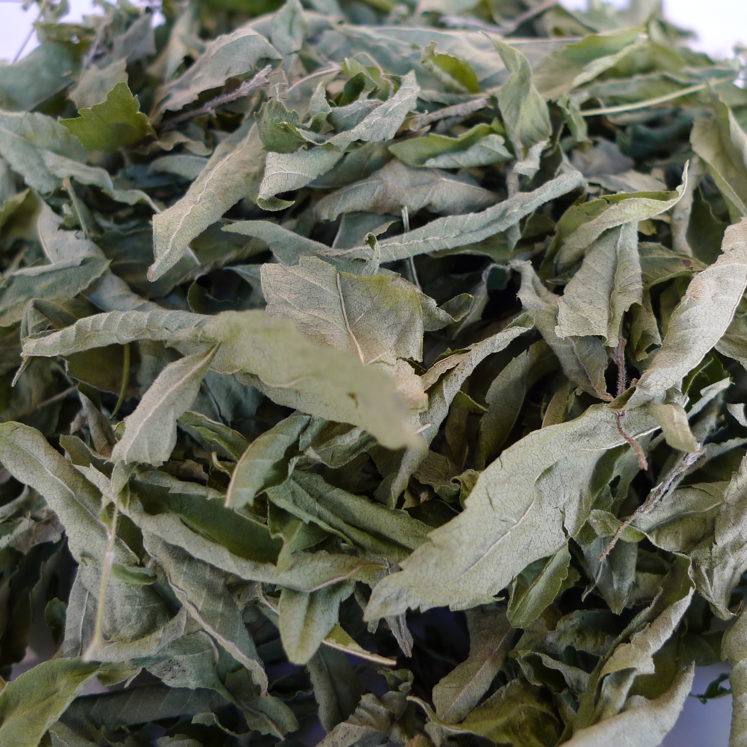 Verveine citronnelle - 15g