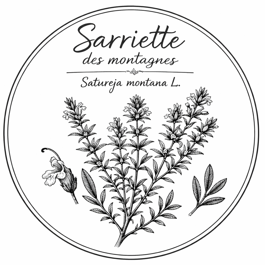Sarriette des montagnes - 30g