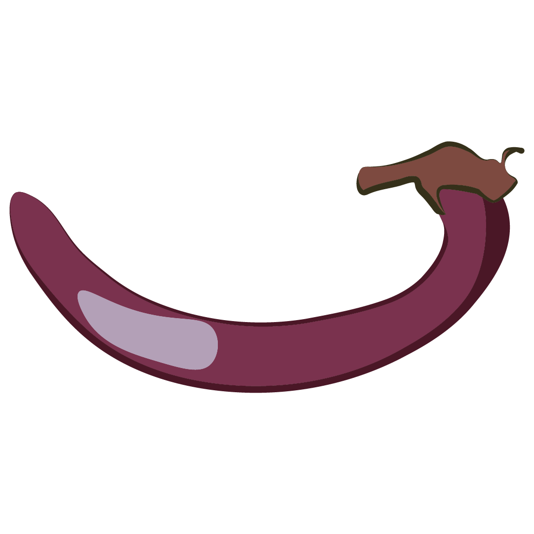 Aubergine longue violette
