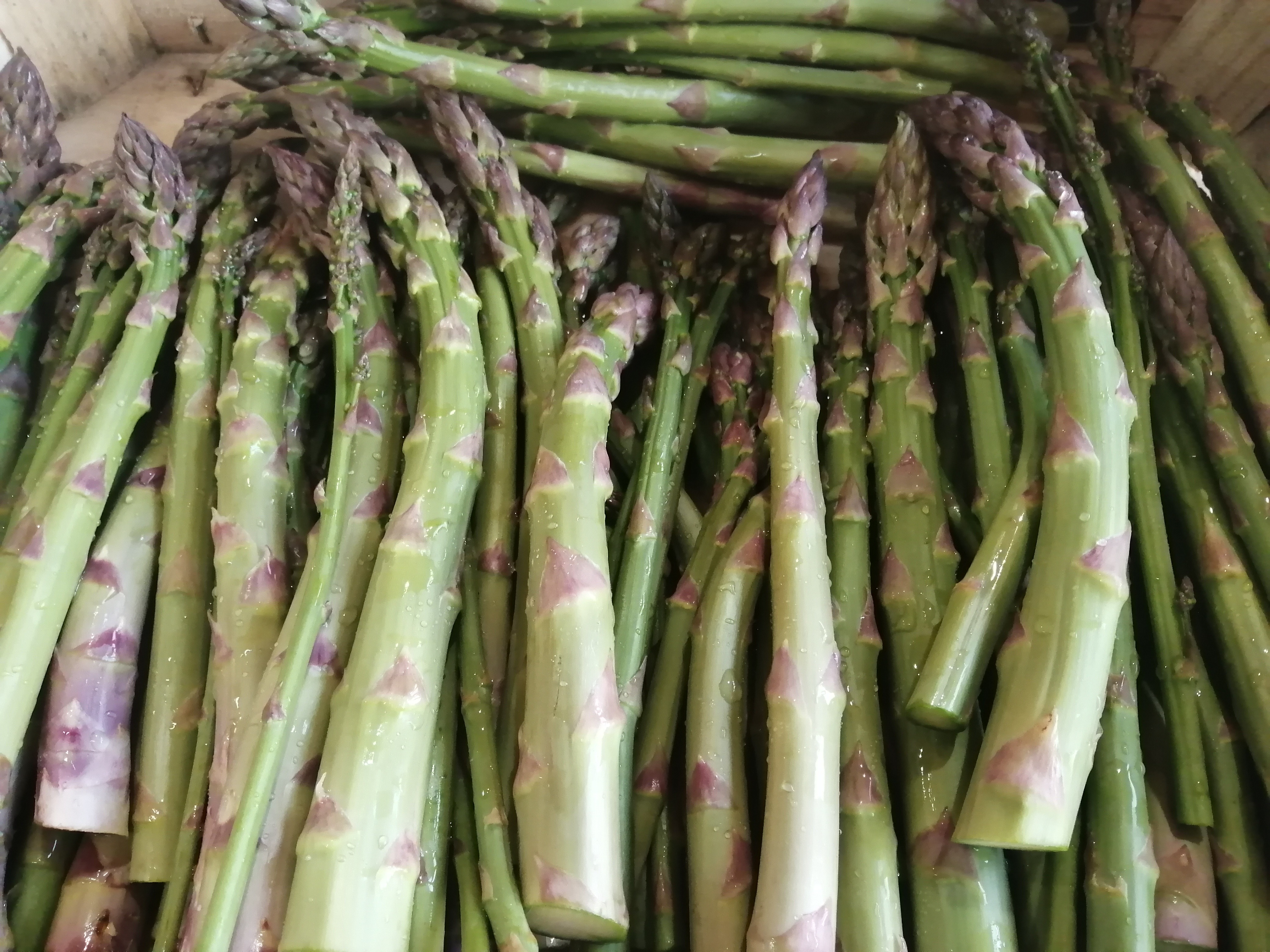 Asperge Verte Vrac