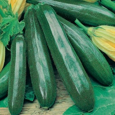 VERTE des MARAICHERS