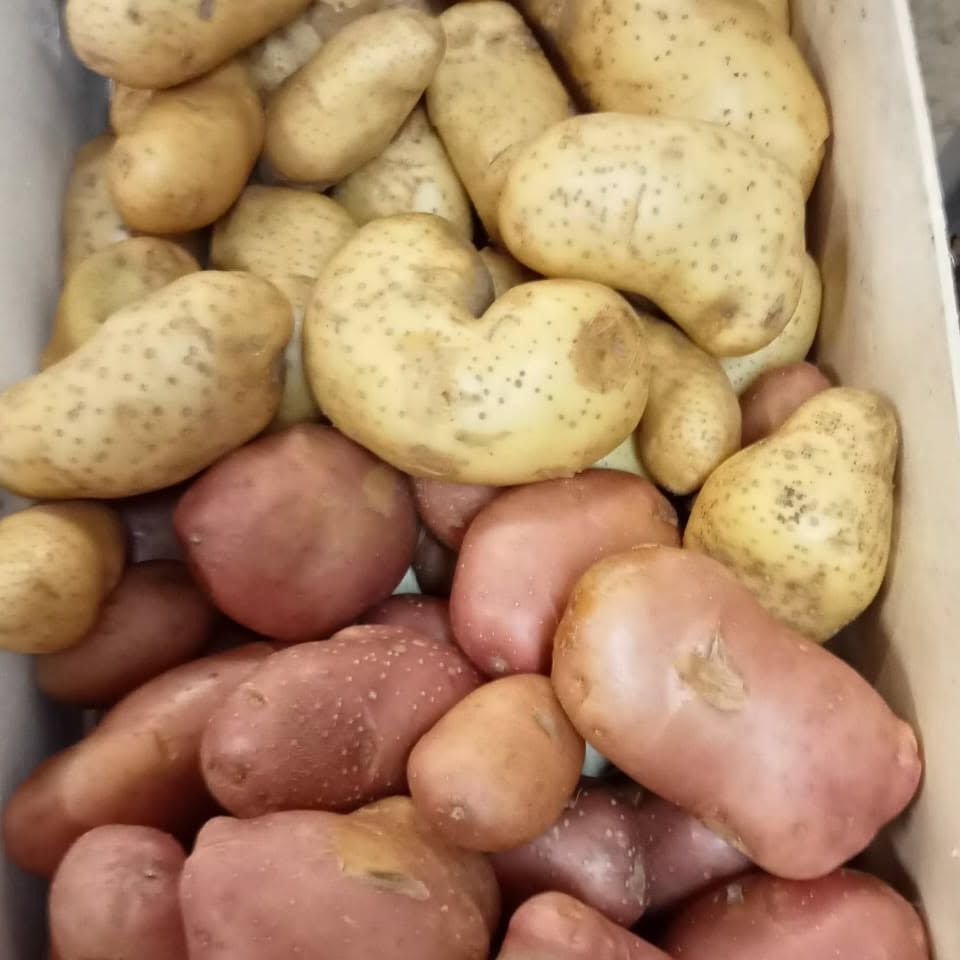 10kilo de pdt bio du jardin rouge ou jaune vrac 66 elne fr