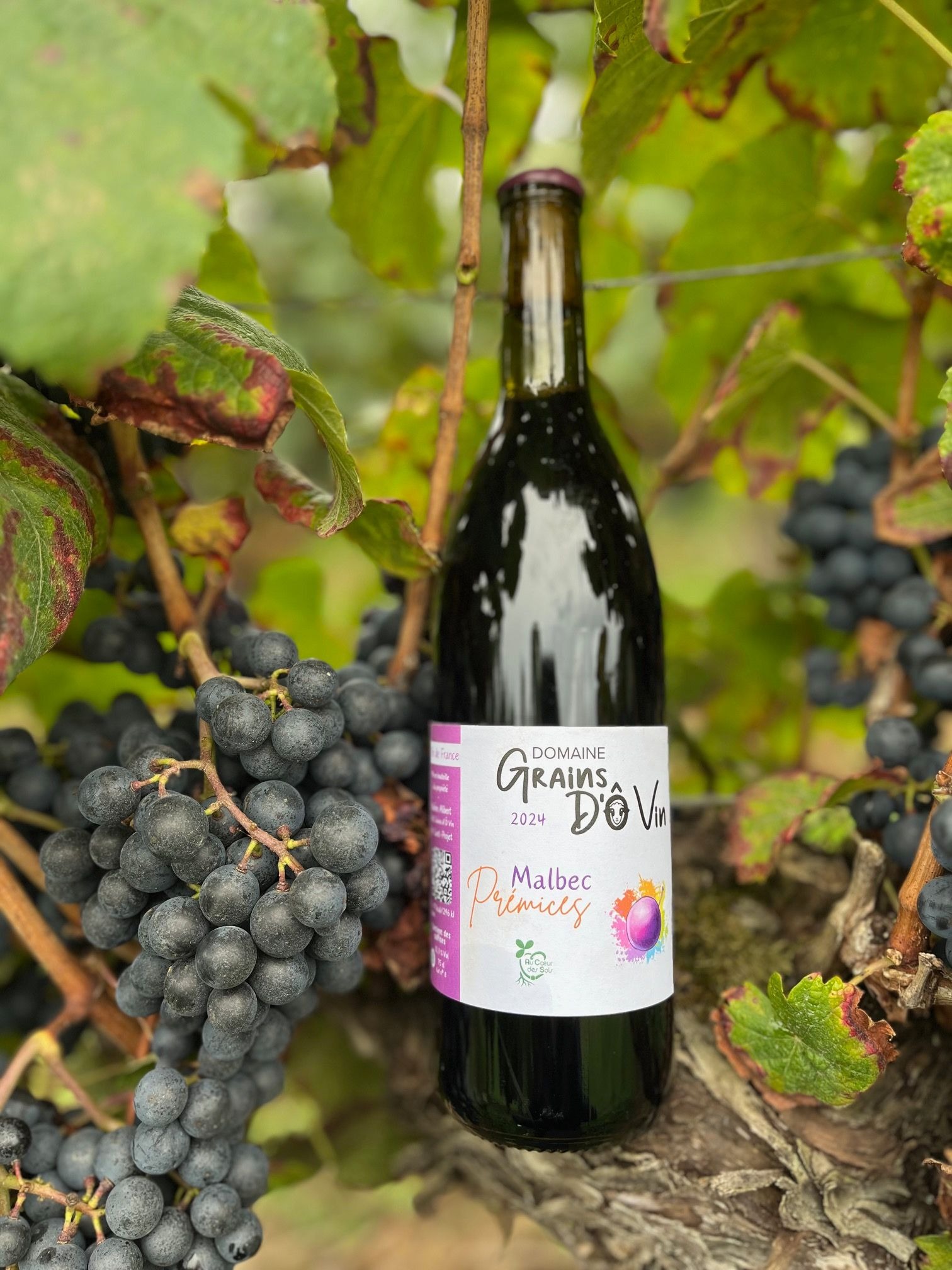 Prémices Malbec 2024
