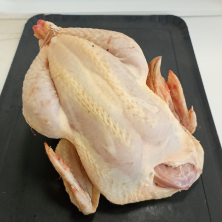 poulet fermier plein air
