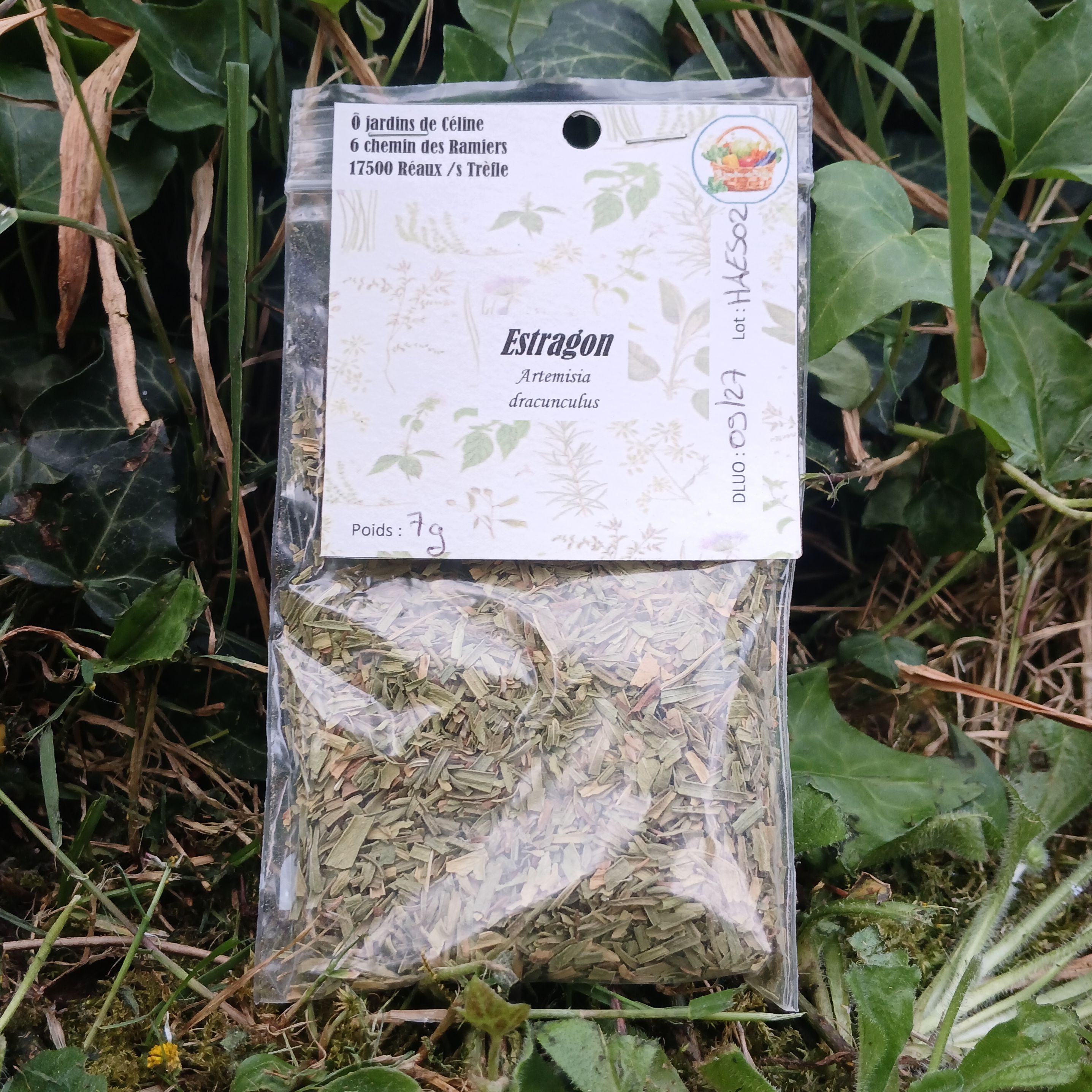 Estragon séché - 7g