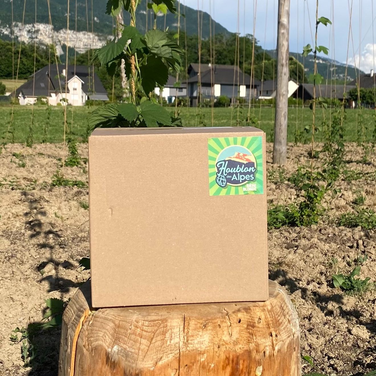 Carton de 12 Bières Blonde Bio Houblon des Alpes 33 Cl 4.8% Vol.