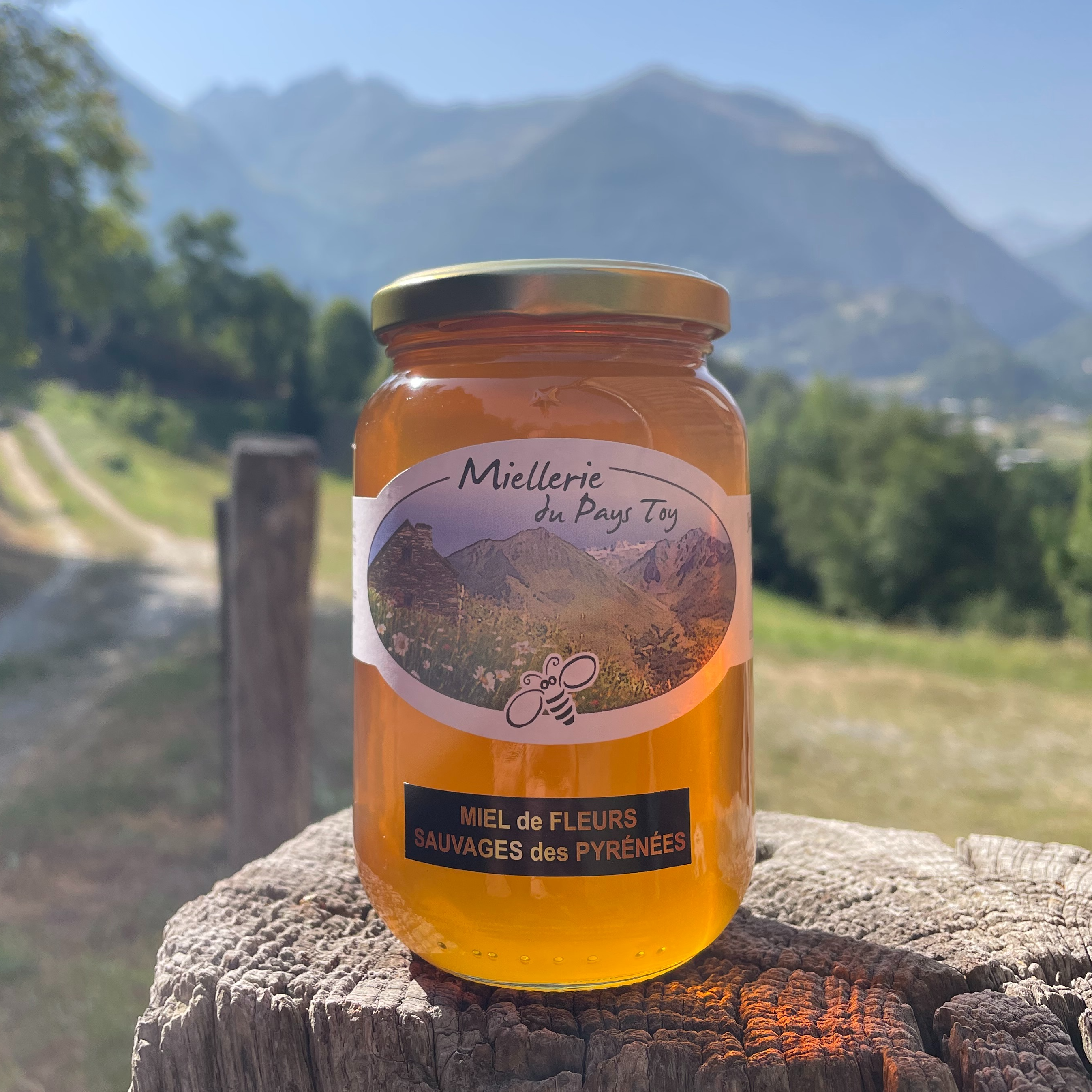 Fleurs sauvages des Pyrénées - 500g