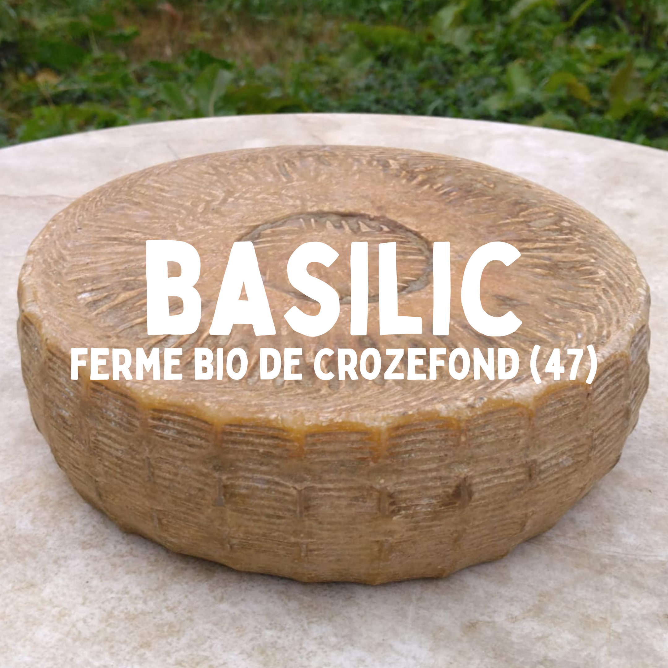 Tome au lait entier Basilic - 200g