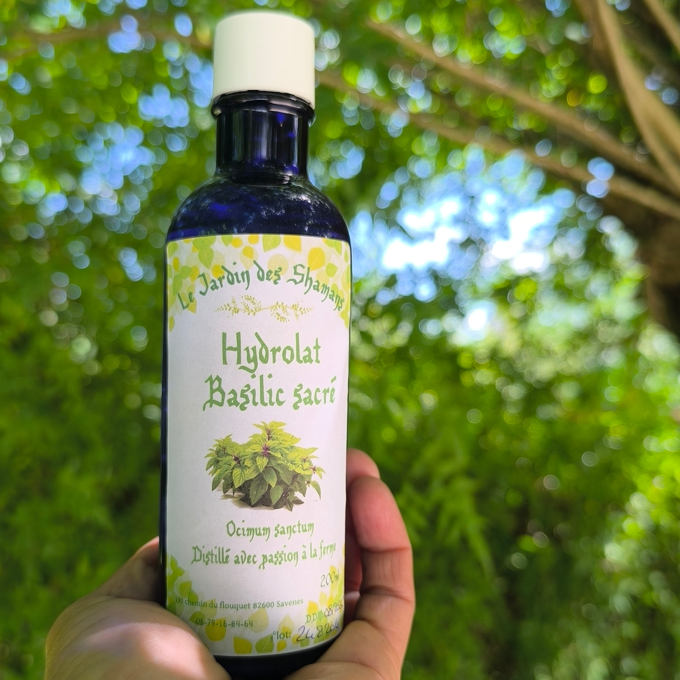 Hydrolat Basilic sacré / Tulsi "ocimum sanctum" - 200ml