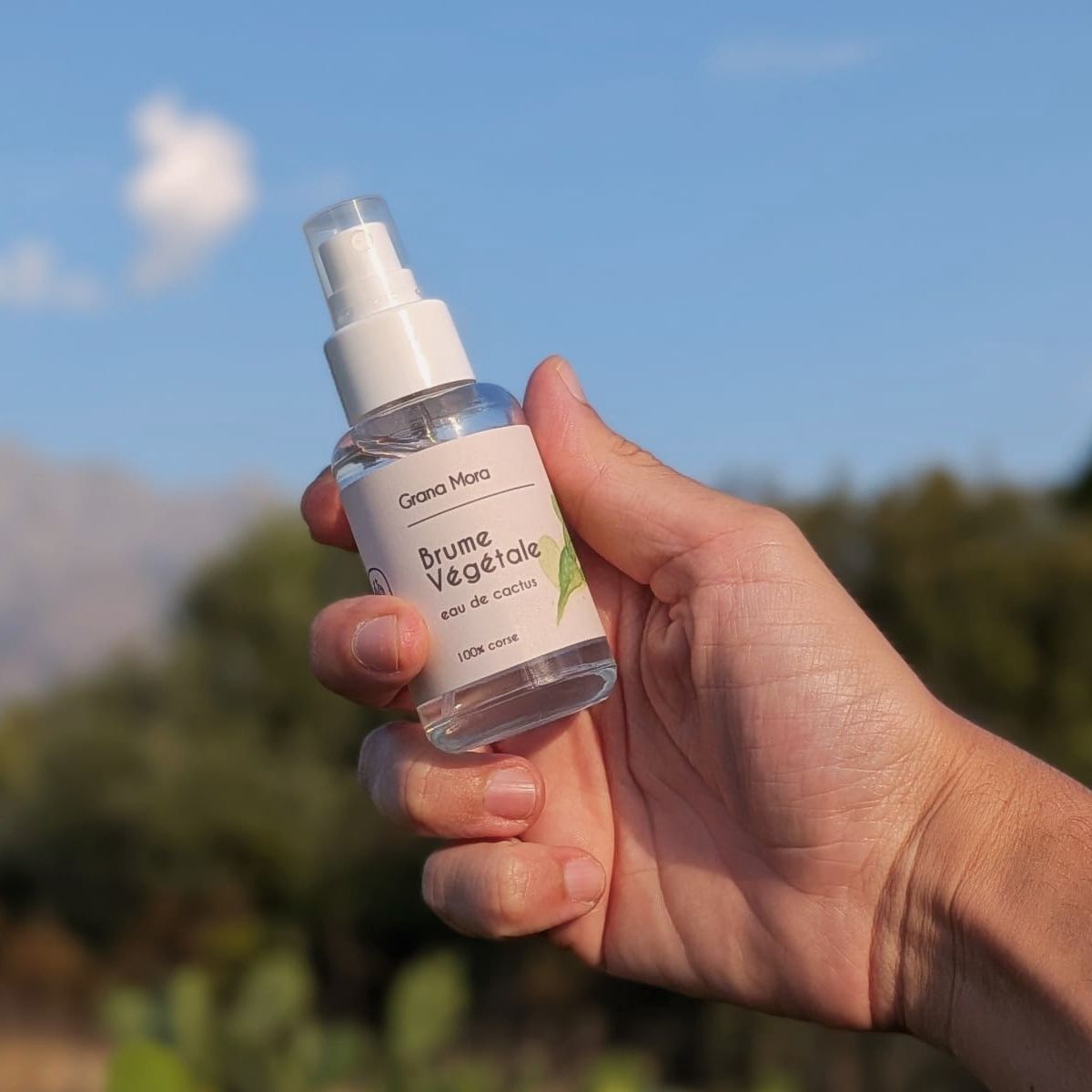 Brume végétale - eau de cactus - 50ml