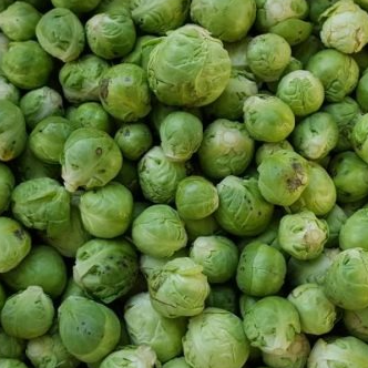 Choux de Bruxelles