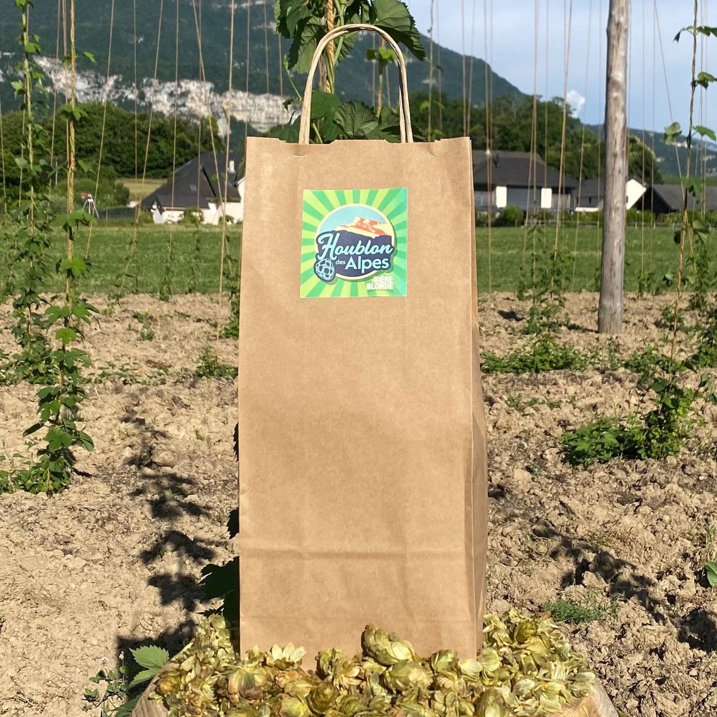 Lot de 2 Bières Blonde Bio Houblon des Alpes 75 Cl 4.8% Vol.