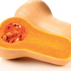 .Courge Butternut - 1,5kg