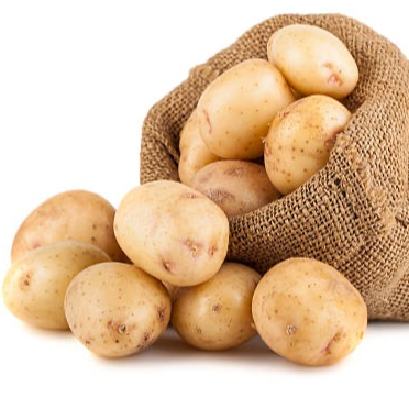 Pomme de Terre - Conversion Bio - Ferme de Larrue