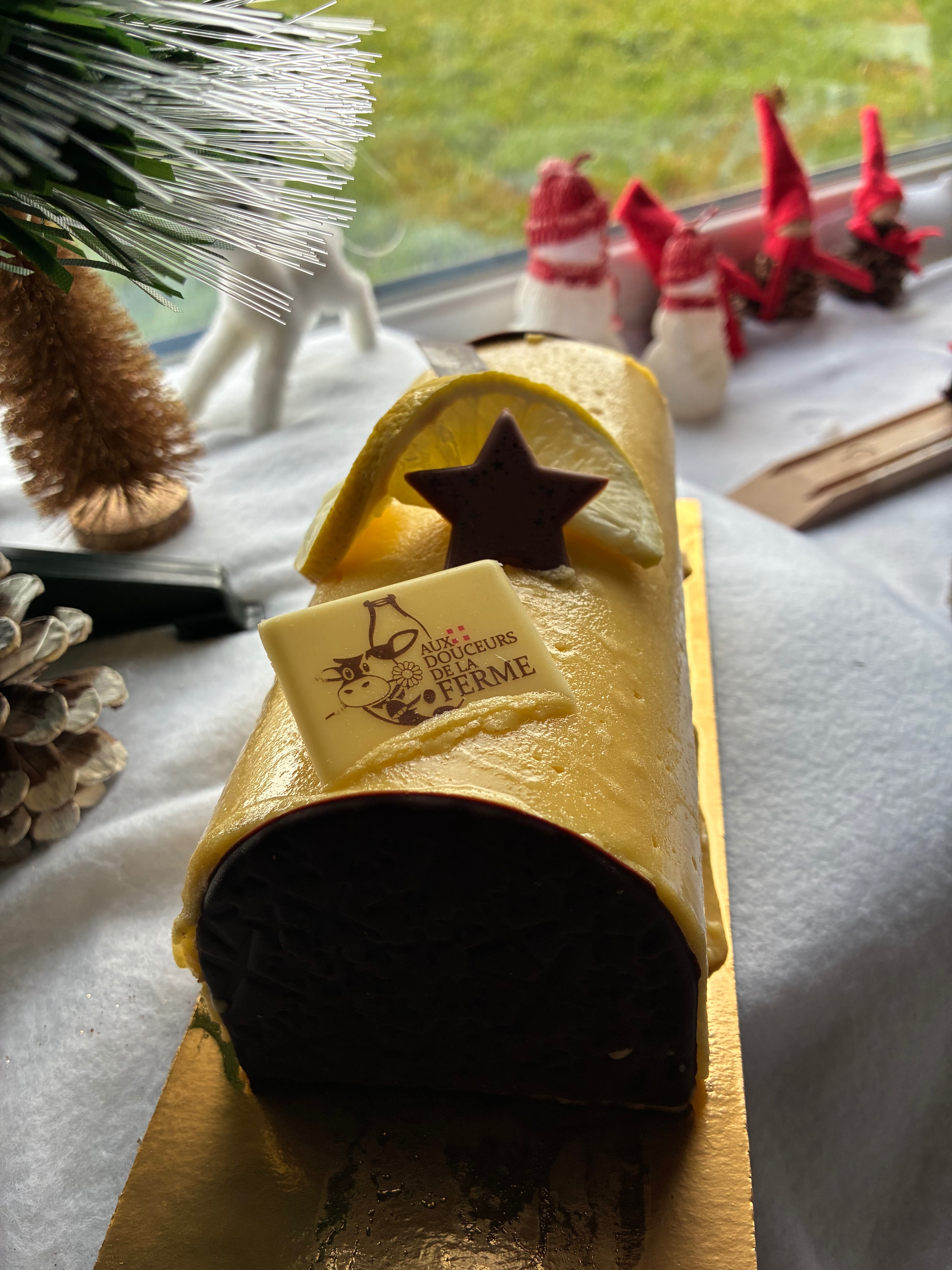 Bûche Glacée FRUITS EXOTIQUES / VANILLE (5/6 parts)