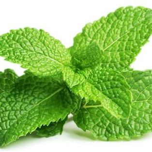 Bouquet De Menthe