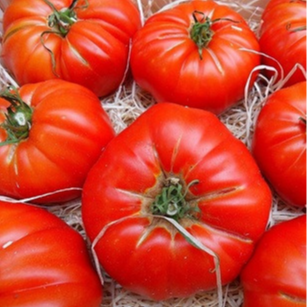45 MARMANDE