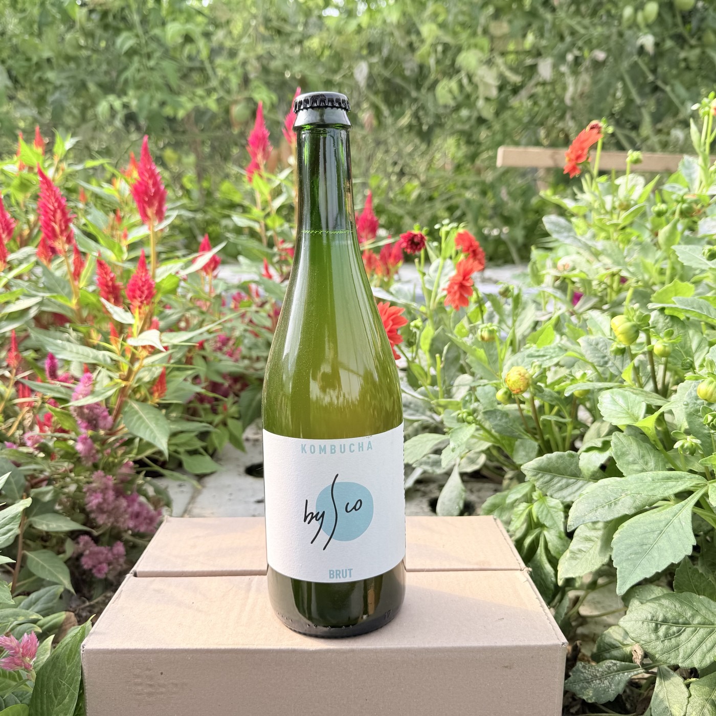 Kombucha Brut Bio Bysco - 75cl