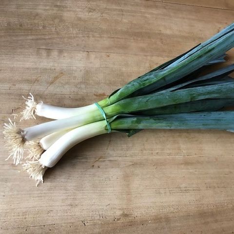 Poireaux fins_botte - 500g