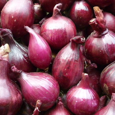 Oignon rouge vrac