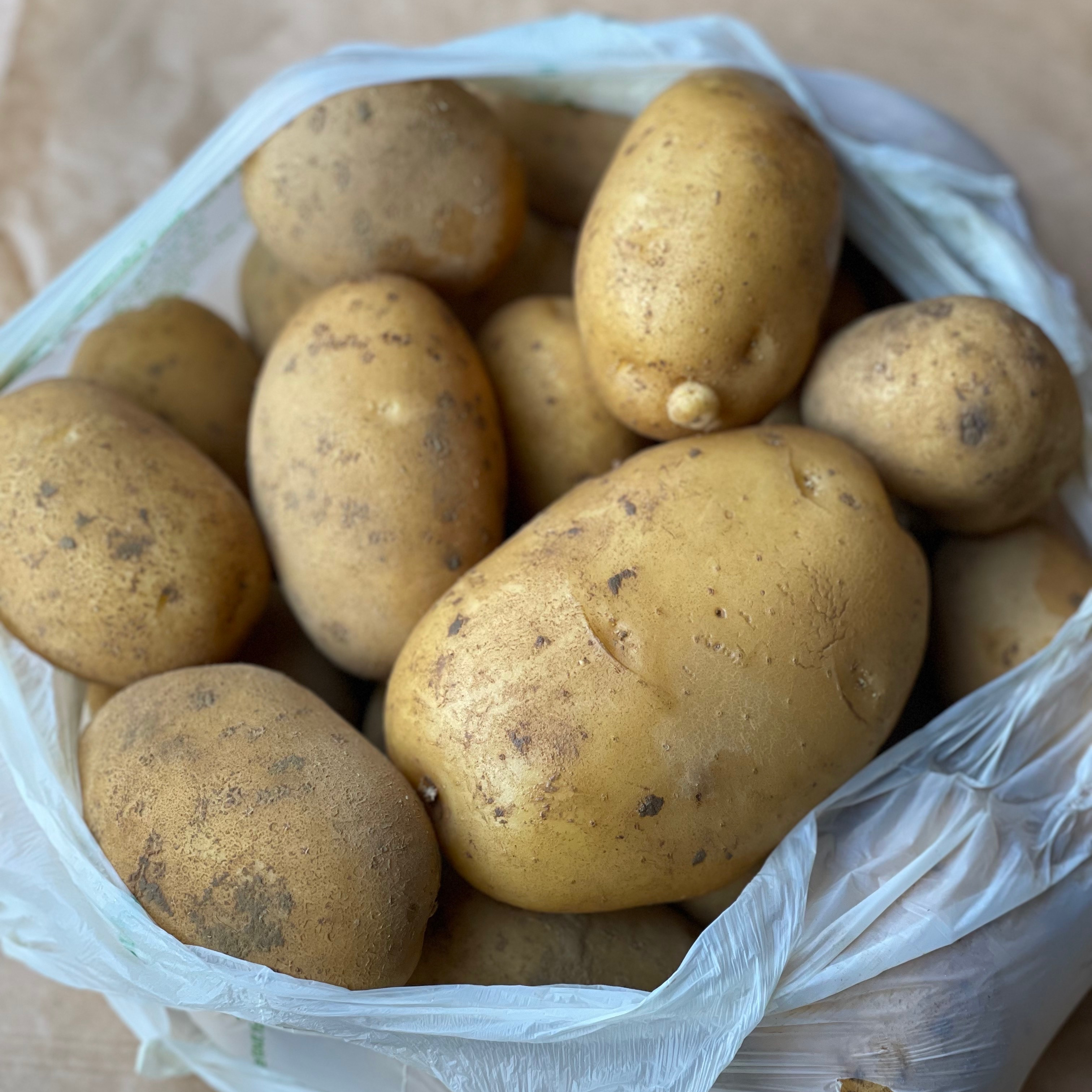 Pomme de Terre Monalisa nouvelle 2,5kg pièce