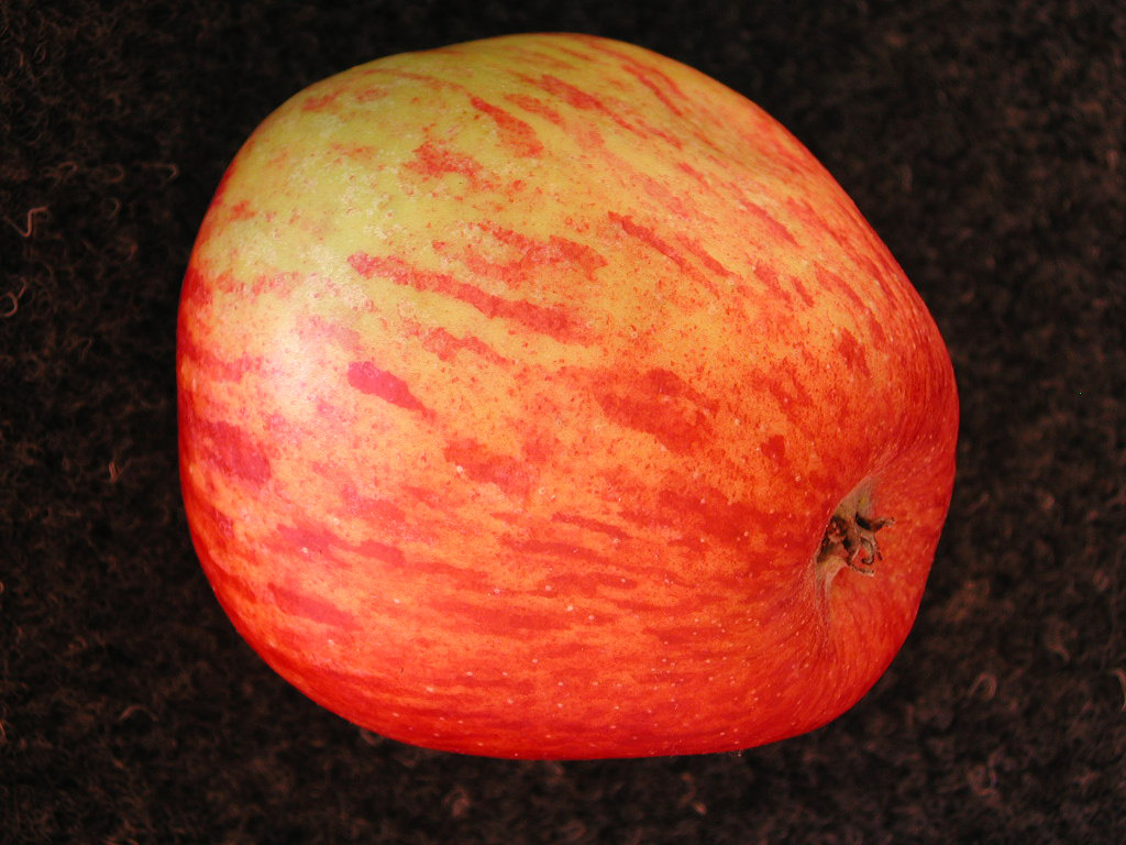 Pommier - Malus domestica "De Risoul"