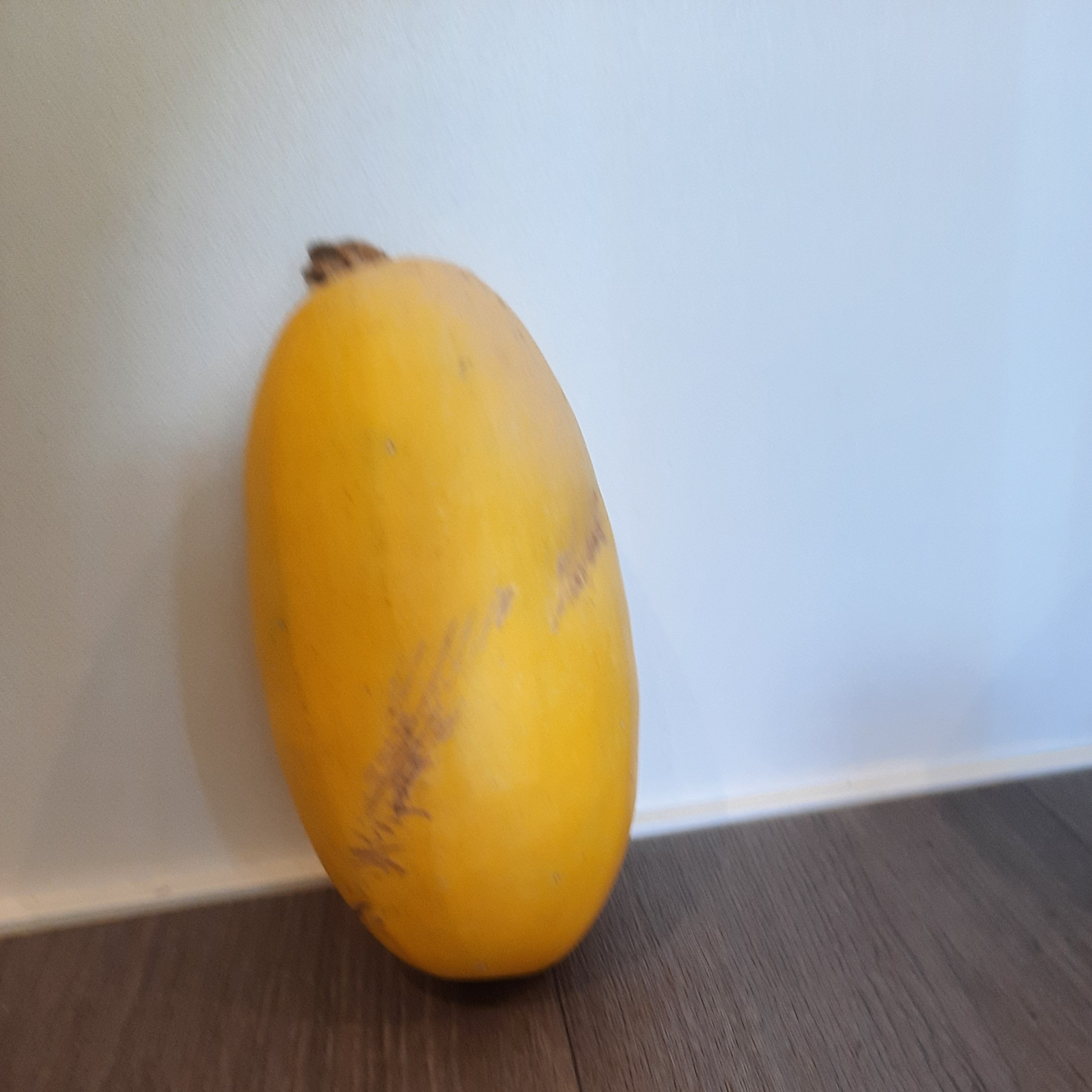 Courge spaghetti
