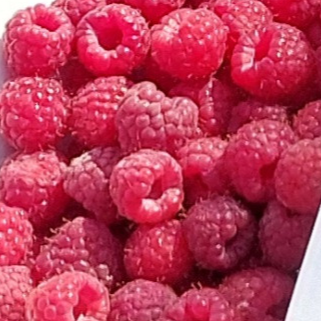 Framboises surgelées