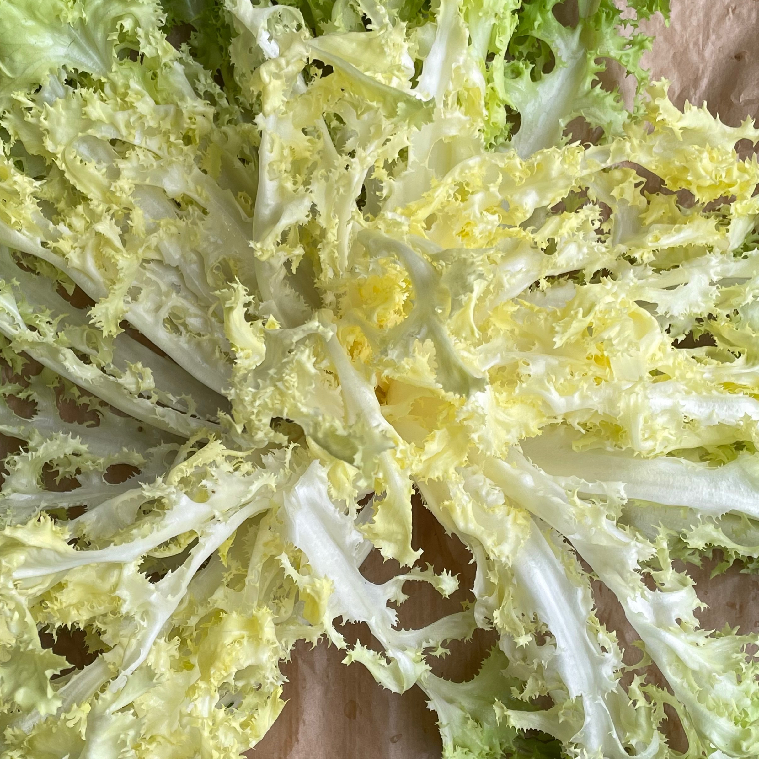 Salade Frisé 0,5kg - 500g