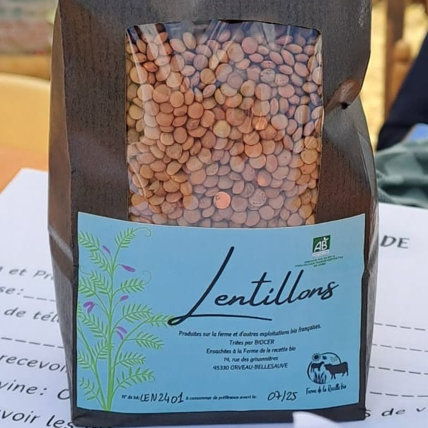 Lentilles bio 1kg - 1kg
