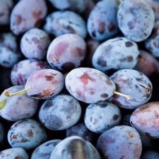Prunes violettes 1kg