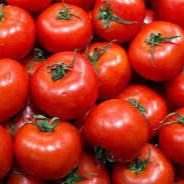 Tomate ronde en grappe BIO (100g)