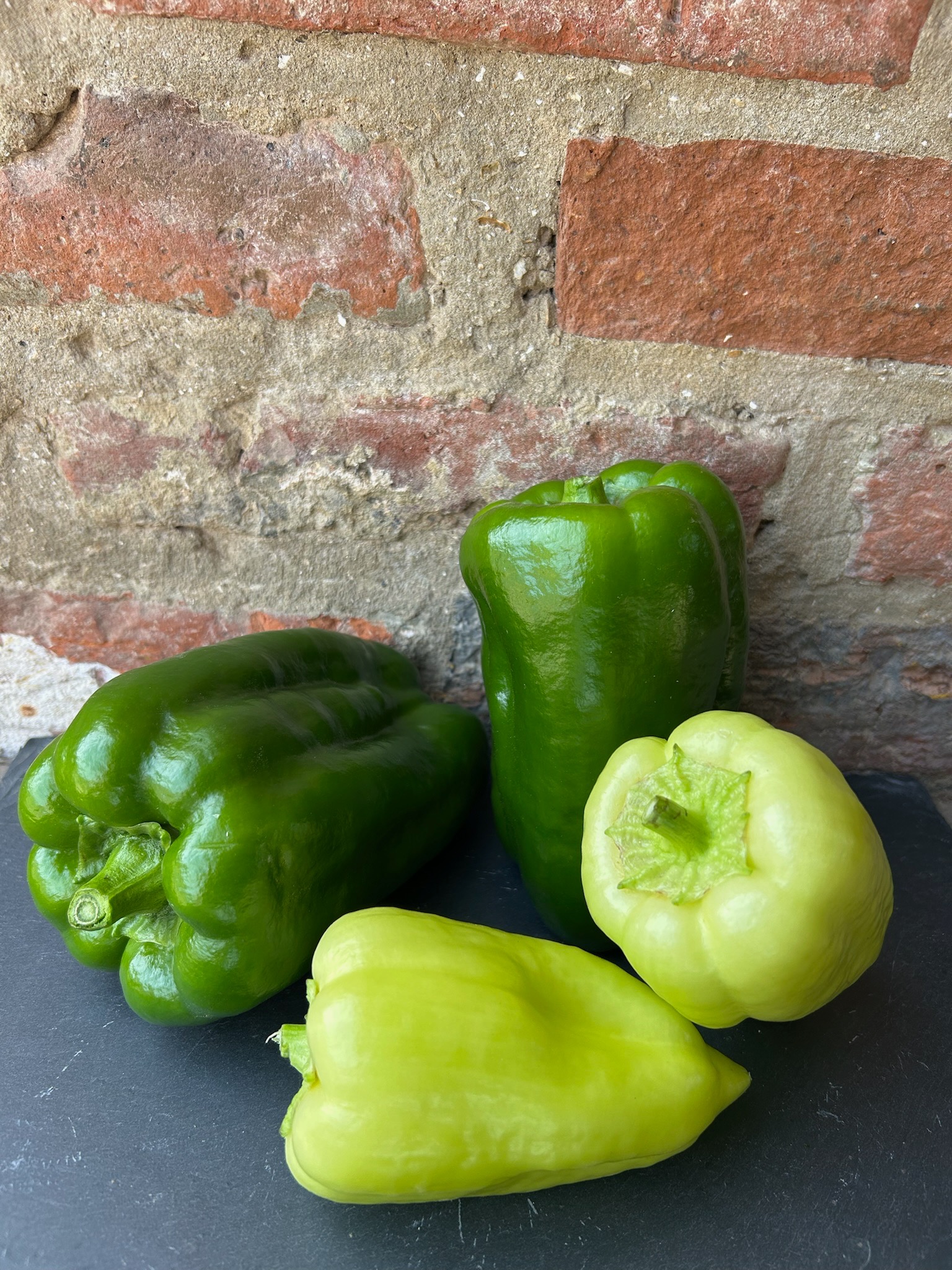 Poivron vert/blanc