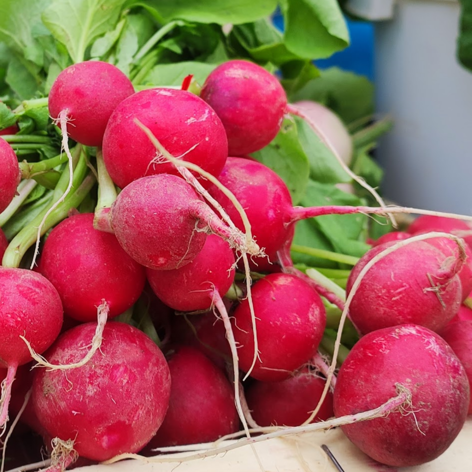 Radis Rouges - 350g