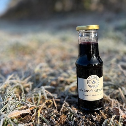 Nectar de Myrtille - Petite Bouteille 20 cL - 200g