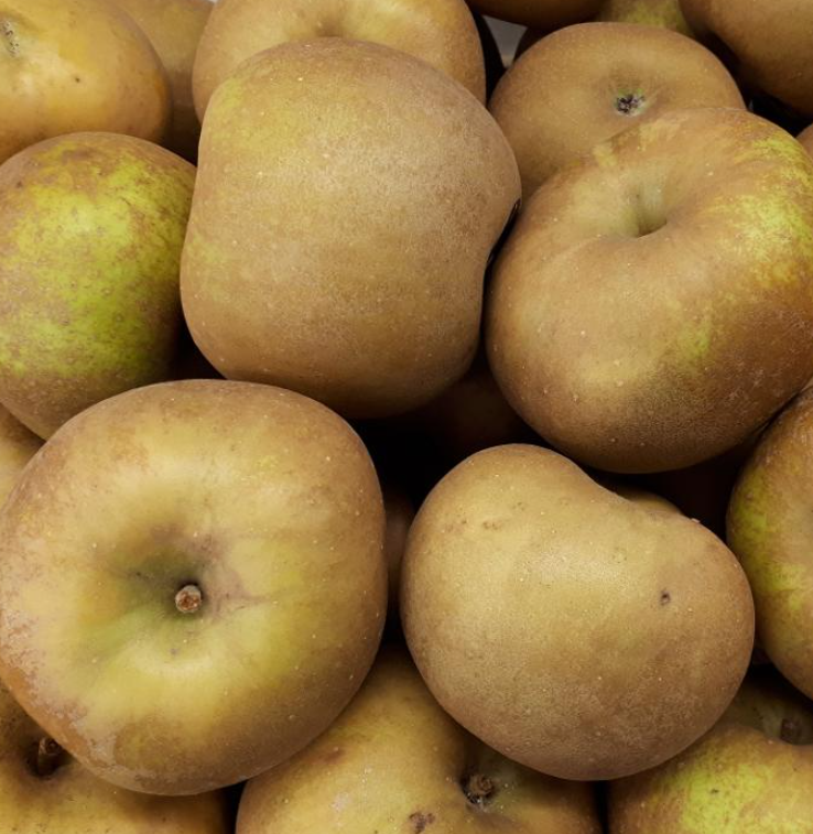 Pomme reinette des Flandres - 1kg