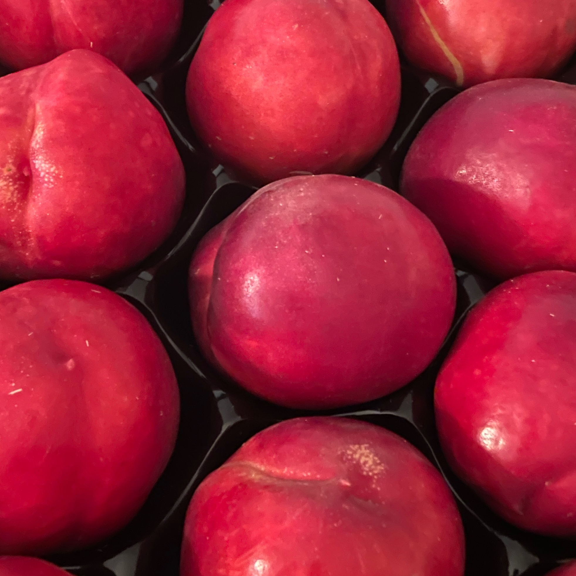 Nectarine blanche