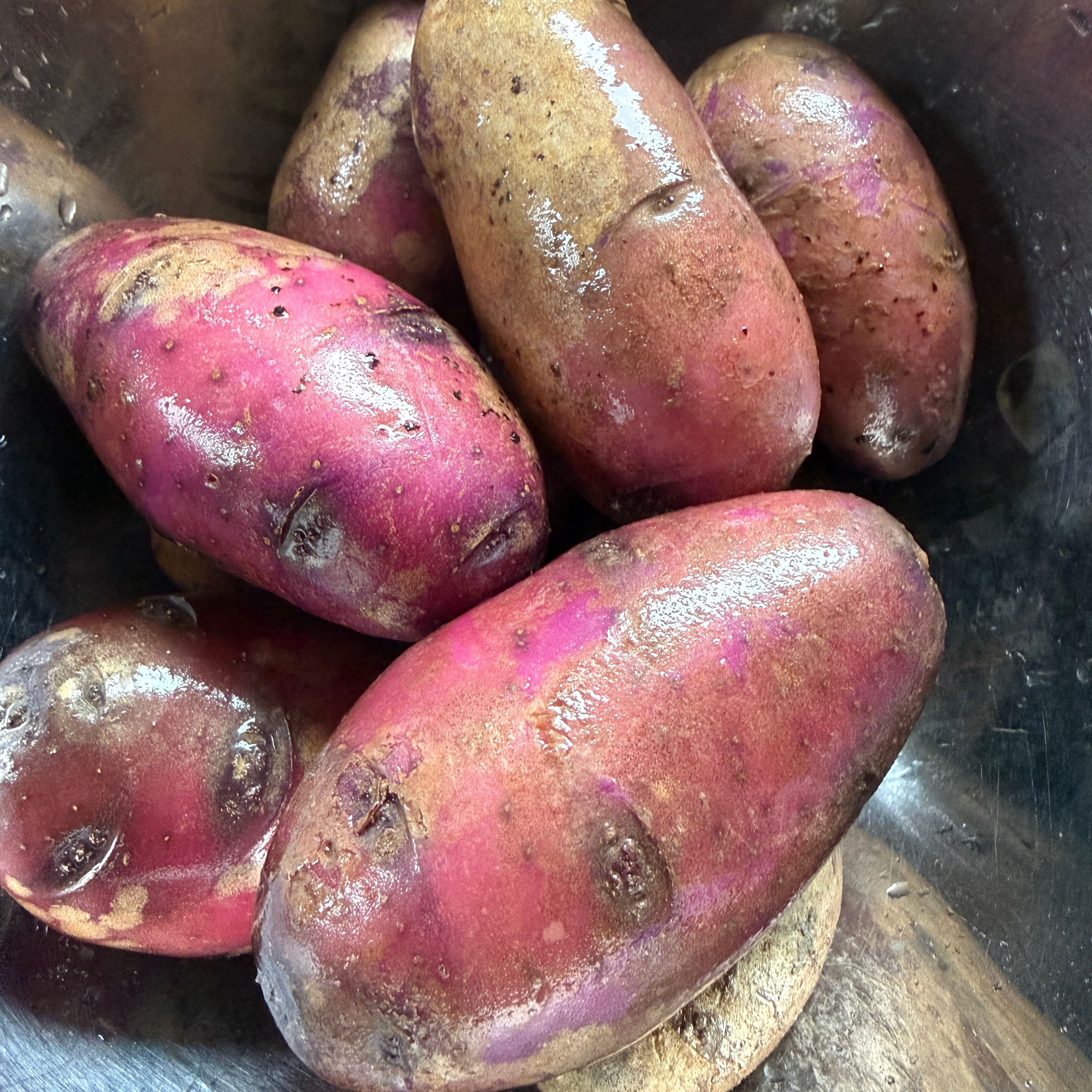 Pomme de terre violette - 25kg