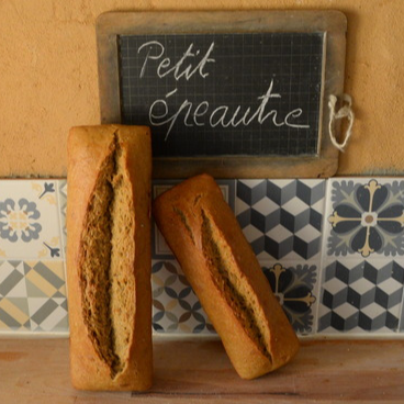 Pain au petit épeautre